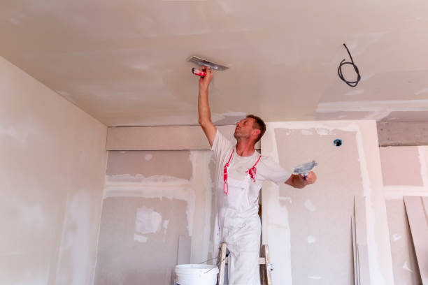 Best Trim and Molding Painting  in Red Lake Falls, MN